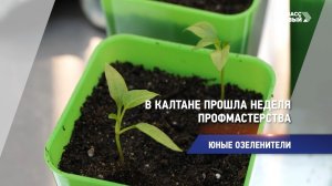 Юные озеленители