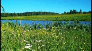 Д. Мережковский. Нирвана