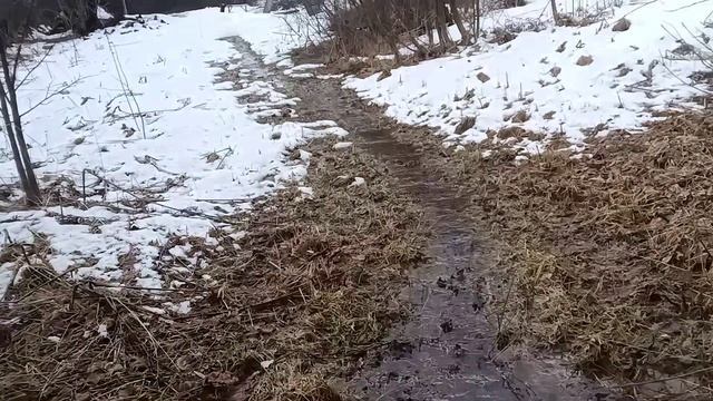 Дом в глуши. Речка у дома❤️☀️