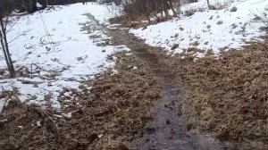 Дом в глуши. Речка у дома❤️☀️