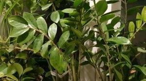 Расставание