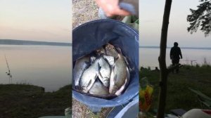 Сказ о рыбаках и рыбке