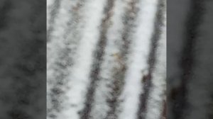 Весенний снежок