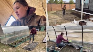 Субботник/ удобрила можжевельники/ работа на участке