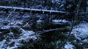 весенний снегопад 2.mp4