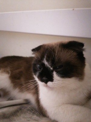 Я потерял лд