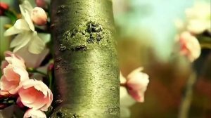 Праздник для души