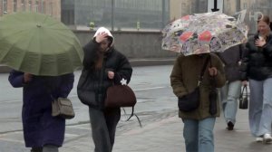 Циклон из Арктики принес в Москву резкое похолодание, снег, а в перспективе и гололед.