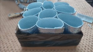 Ужасная погода. Занимаюсь рассадой. Дневник за 9 апреля