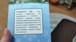 Обзор купленной гортензии Грандифлора.