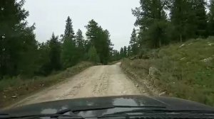 Каменное сердце