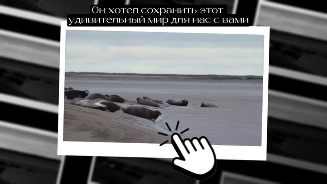 Писахов. Голоса Севера