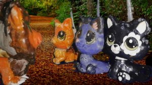 Коты воители Стань диким! 6 серия