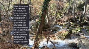 Николаев 10 апреля 2026 года (новости)