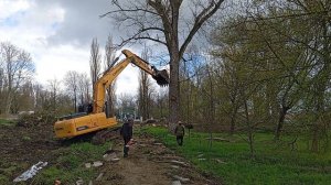 анапа сегодня 9 апреля 2026 валим засохшие деревья