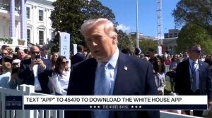 Трамп цинично считает и называет людей животными, которых бомбит в Иране.