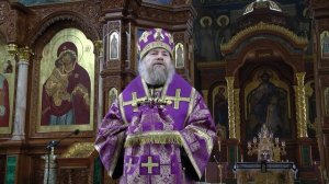 Проповедь митрополита Воронежского и Лискинского Леонтия. Воронеж. 9 апреля 2026 года.