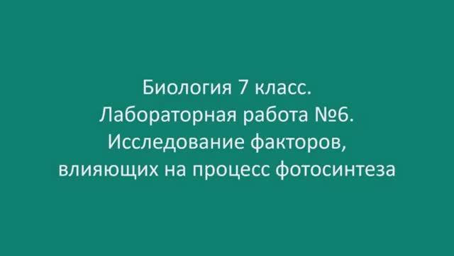 Исследование факторов влияющих на процесс фотосинтеза