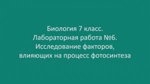 Исследование факторов влияющих на процесс фотосинтеза
