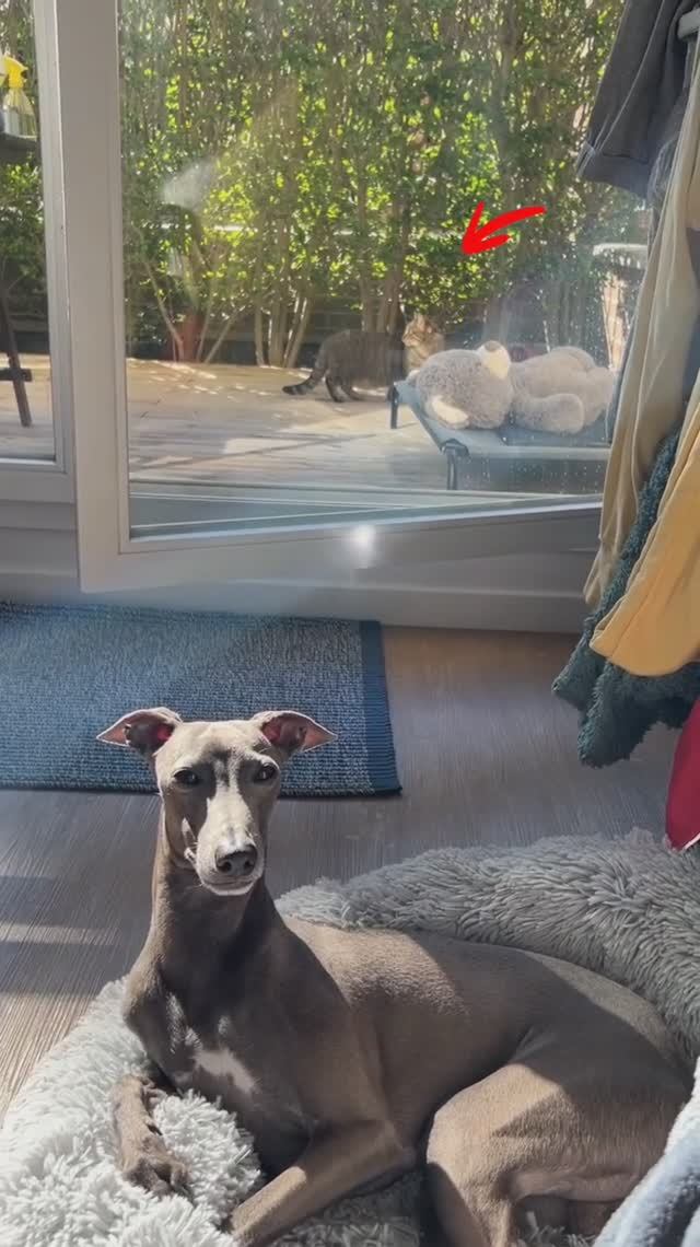 ЭТО БЫЛО ОПАСНО.