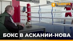 В Аскании-Нова состоялся дружеский турнир по боксу
