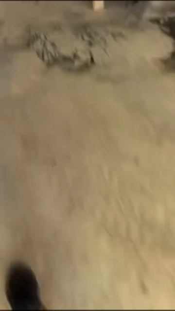 Поршневые холодильные компрессоры