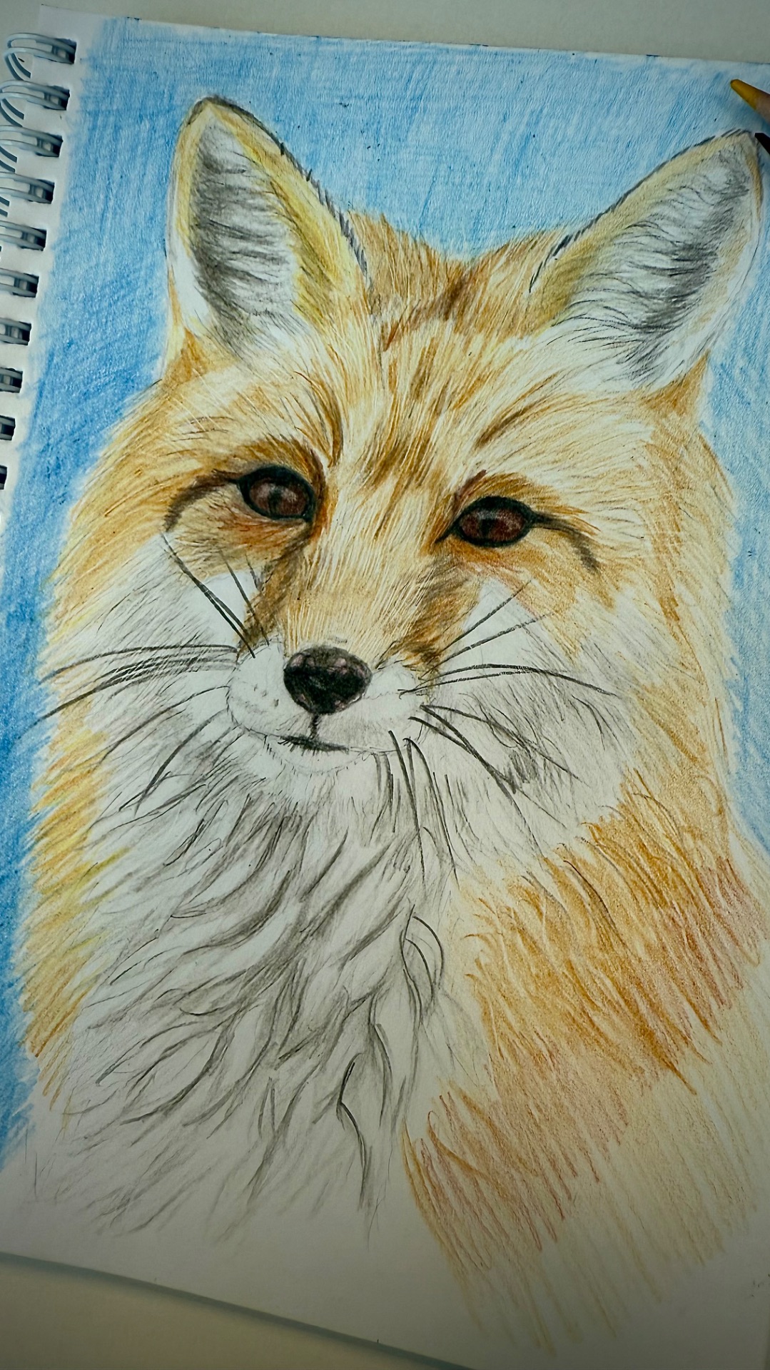 Очень быстрый скетч 🦊