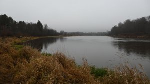 В ЛЕСНОЙ ДЕРЕВНЕ 3 СЕРИЯ