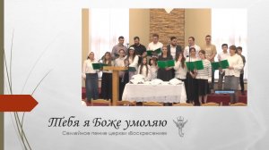 О, Боже мой, к Тебе взываю