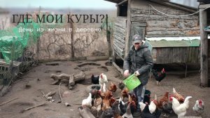 Деревенский день: куры сбежали, мясо разделываю, хлеб пеку