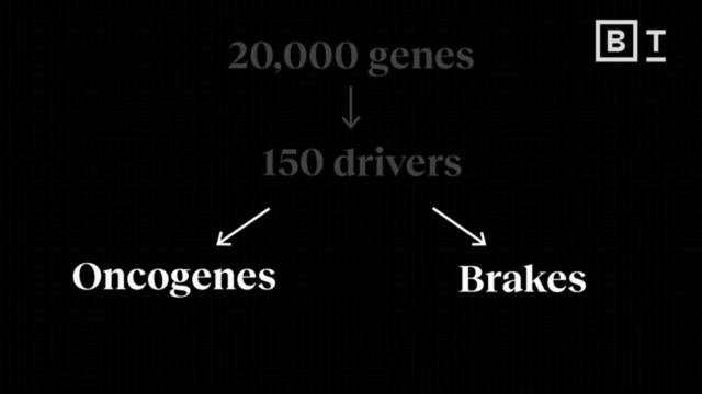 Как работает эволюция за 54 минуты | Шон Б. Кэрролл: Полное интервью