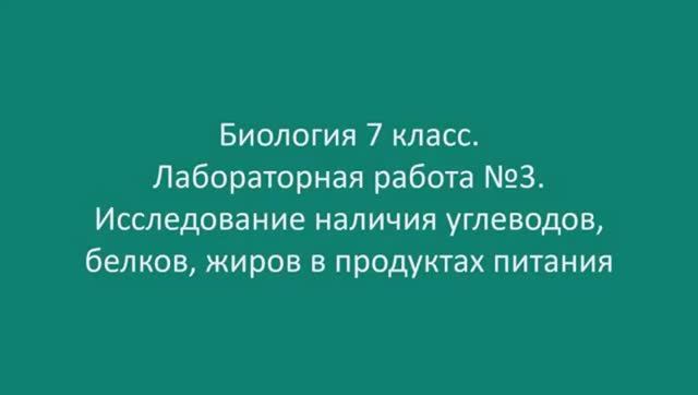 Исследование наличия углеводов, белков, жиров в продуктах питания