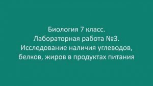 Исследование наличия углеводов, белков, жиров в продуктах питания