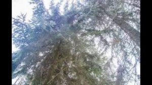 10 апреля - Иларион — выверни оглобли. Традиции и приметы