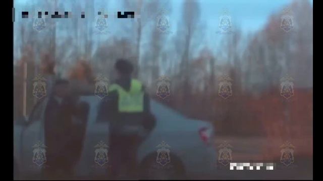 Сотрудники Госавтоинспекции в Крестецком районе задержали иностранцев, незаконно находящихся в РФ