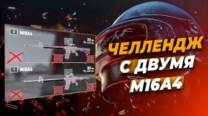 ЧЕЛЛЕНДЖ «ДВЕ M16A4 БЕЗ ОБВЕСОВ»