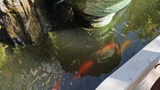 Муйне за 3 дня. Ручей фей .mp4