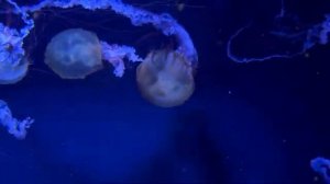 Бог ПОКАЗАЛ МНЕ ВСЁ АД РАЙ и ПРАВДУ которую не расскажут в церкви КЛИНИЧЕСКАЯ СМЕРТЬ