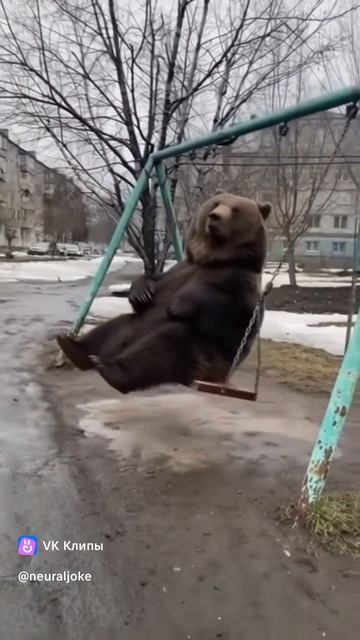 Обычные дела в Сибири)0))