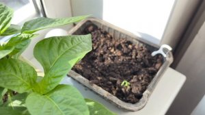 Новый влог!🤗 8 апреля 2026г. Наш двор 🏠