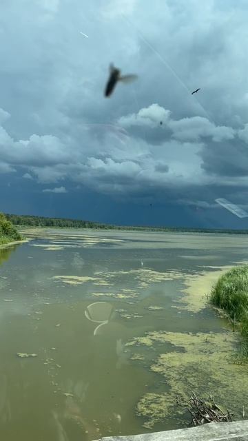 Путешествие наружу. Грибные истории.
