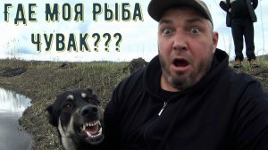 Где Моя Рыба Чувак???