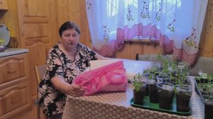 Обещали. Показываем