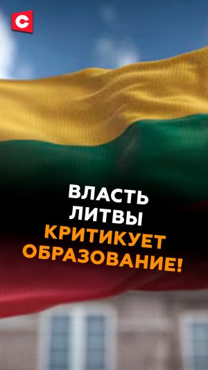 Плачевное состояние образования в Литве! #литва #образование #новости #политика