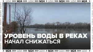 Уровень воды в реках Коломны начал снижаться