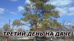 ТРЕТИЙ ДЕНЬ НА ДАЧЕ