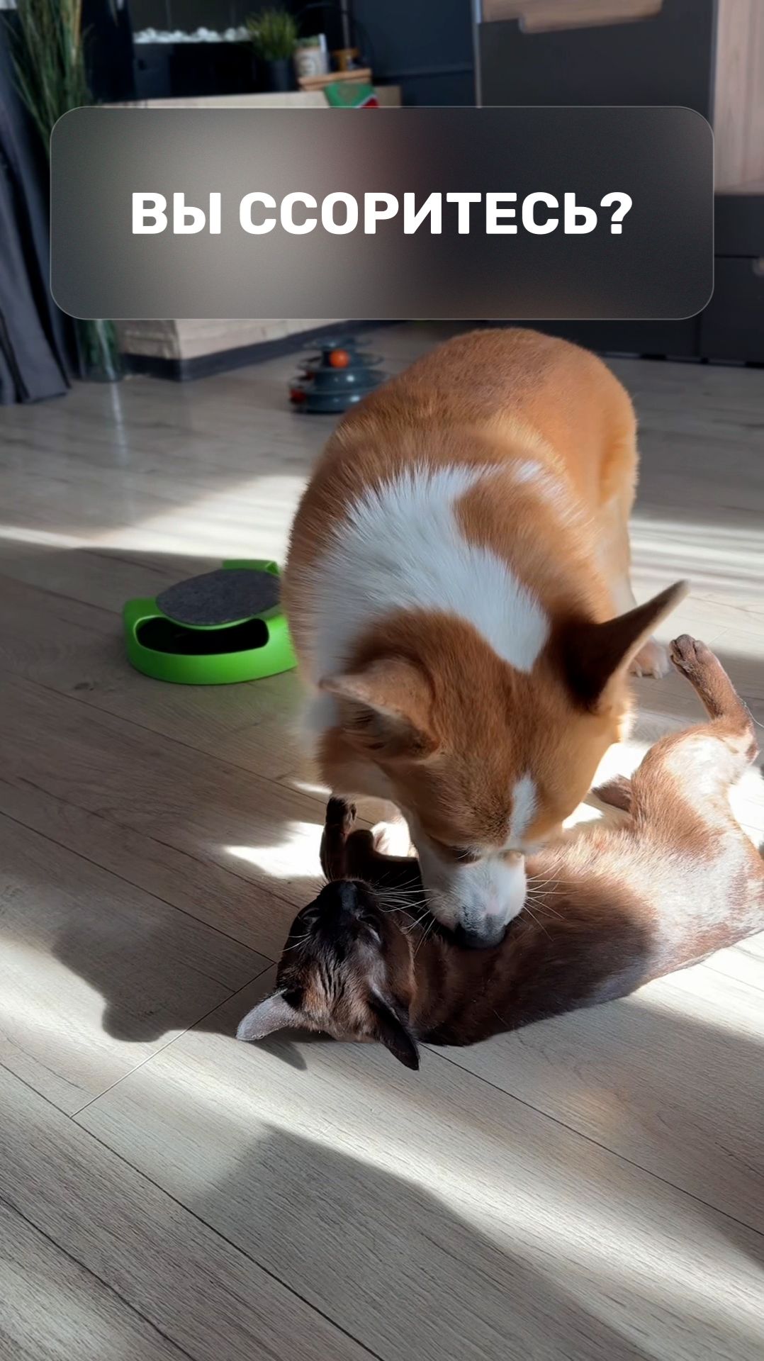 Вы ссоритесь?