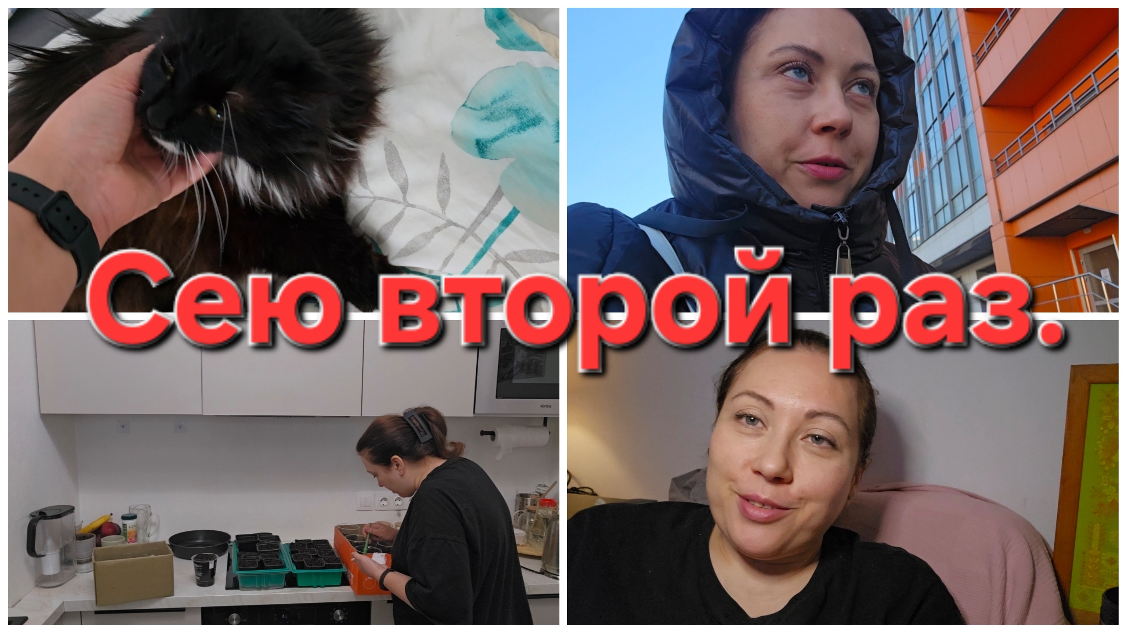 09-04-2026 Сею томаты // Просто нет сил и желания.