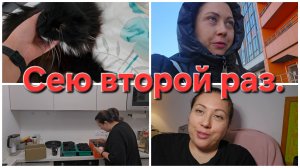 09-04-2026 Сею томаты // Просто нет сил и желания.