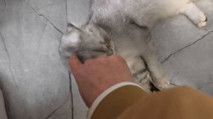 Новый маникюр 💅 Жизнь в Крыму